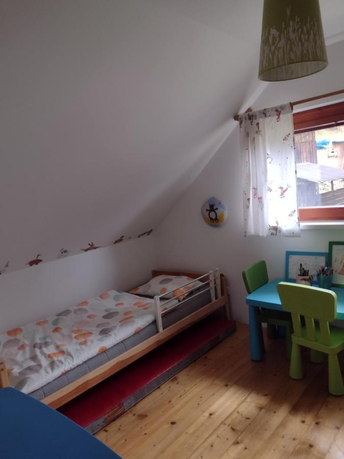 Chata Dvírka Zelezny Brod Bagian luar foto