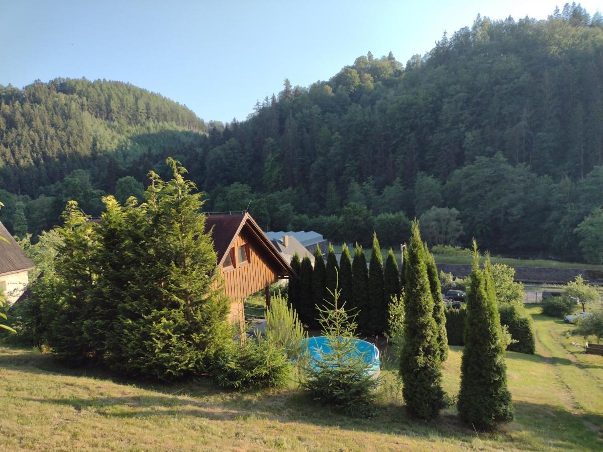 Chata Dvírka Zelezny Brod Bagian luar foto